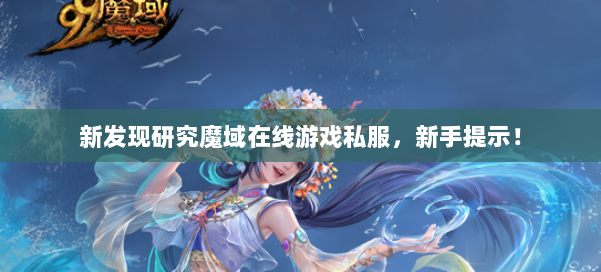 新发现研究魔域在线游戏私服，新手提示！